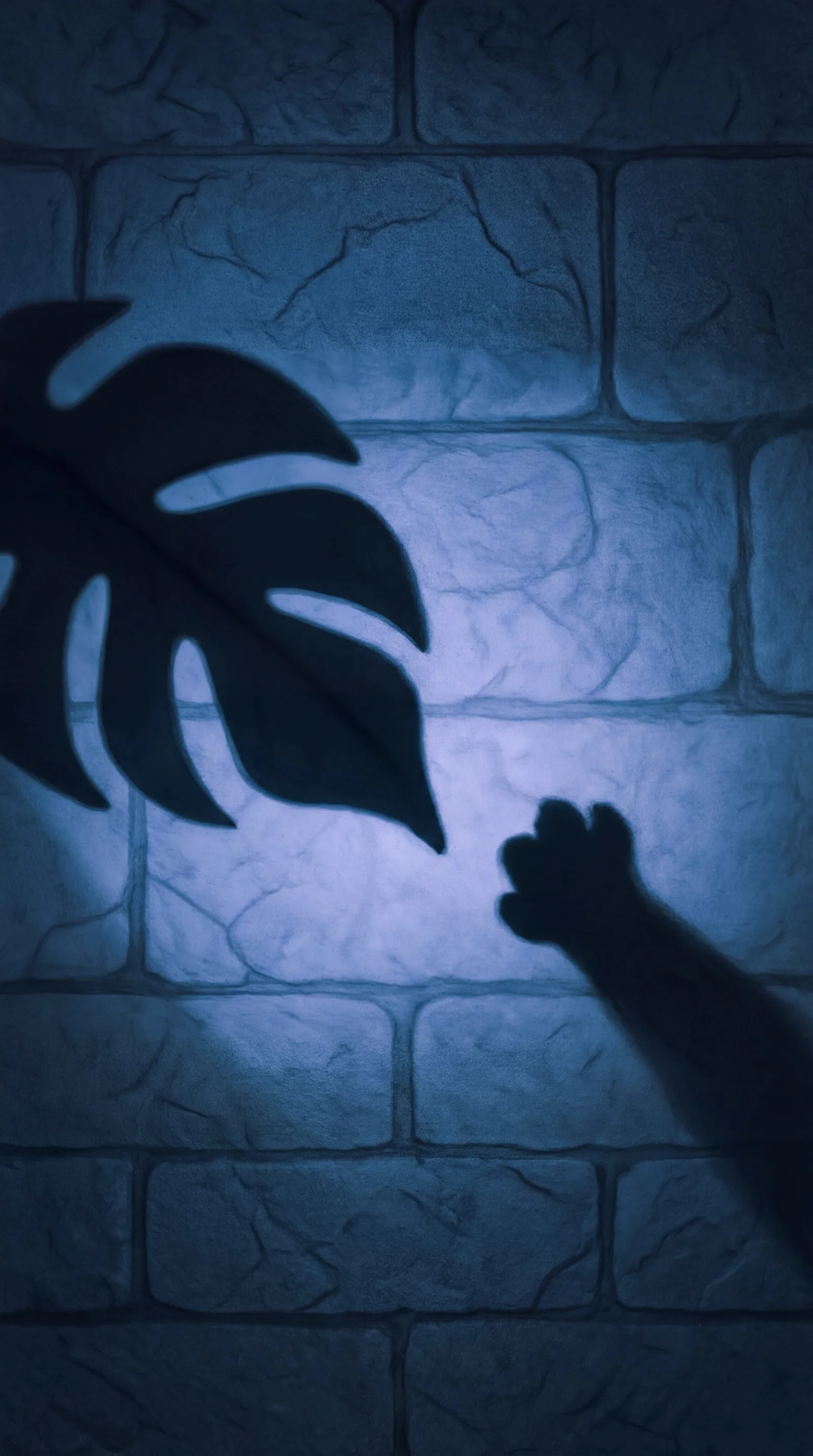 Liska and the Game of Shadows
